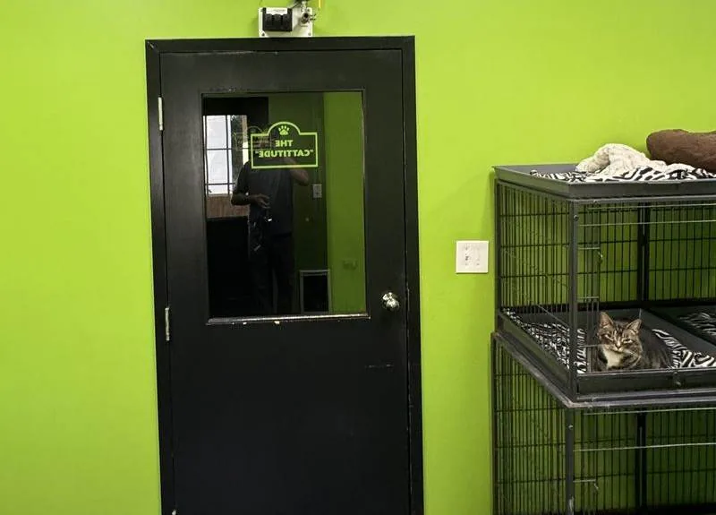Animal Care Industry
